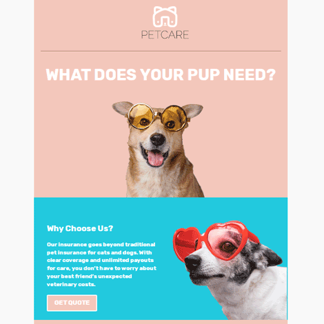 Pet Insurance Animal Services Modern Color